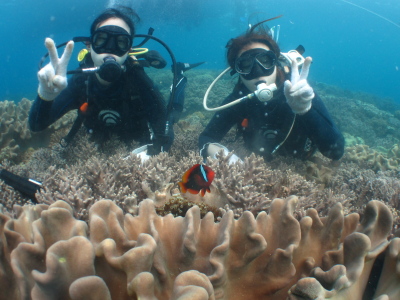 ☆今日の体験ﾀﾞｲﾋﾞﾝｸﾞ☆