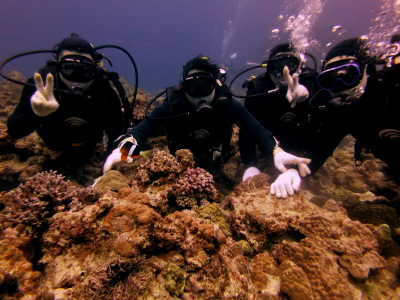 チービシ諸島体験ダイビング