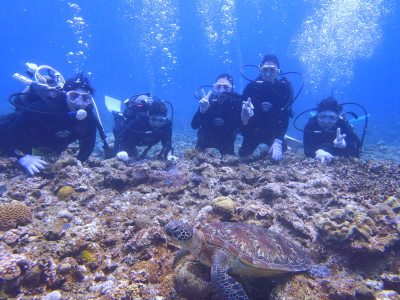 ☆今日の体験ダイビング☆