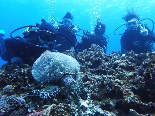 慶良間カメ保障体験ダイビング