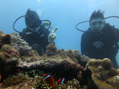チービシ諸島体験ダイビング