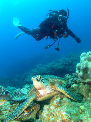 半日沖縄ダイビング