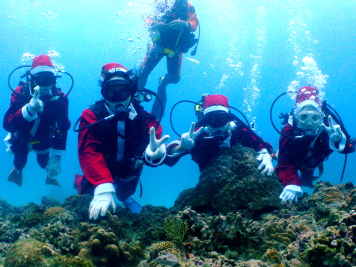 ☆沖縄クリスマスクリスマス仮装ダイブinチービシ体験ダイビング☆
