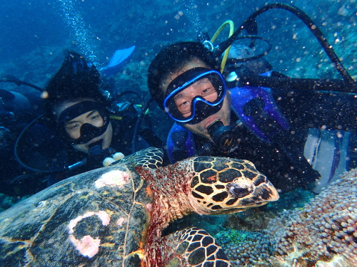 沖縄体験ダイビングツアーの世数