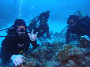 ケラマ諸島体験ダイビング