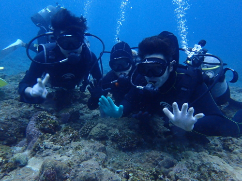 沖縄体験ダイビングの様子