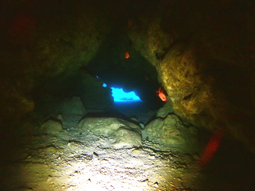 ダイビング沖縄