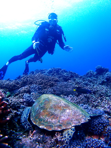 沖縄ダイビングの様子