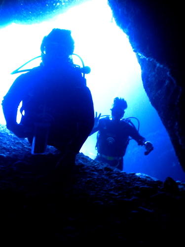 慶良間諸島で光の洞窟体験ダイビング