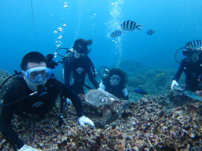 カメ保障ダイビング