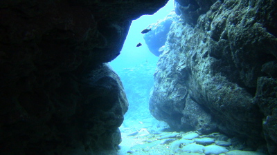 沖縄ダイビング