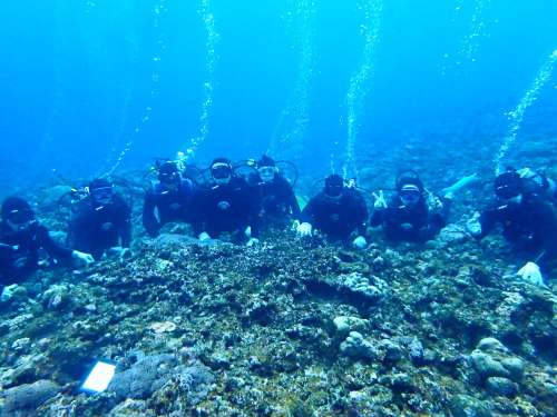 沖縄体験ダイビング