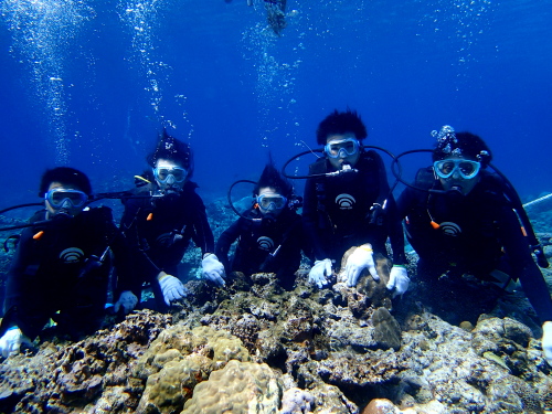 沖縄体験ダイビング