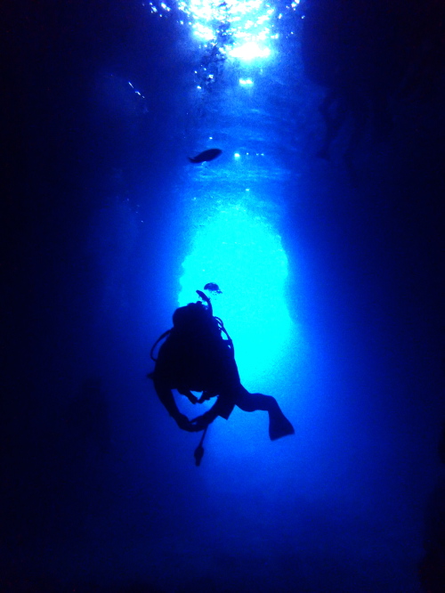 沖縄ダイビング