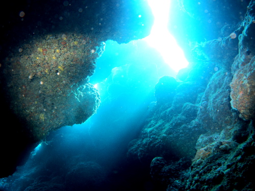 ダイビング慶良間