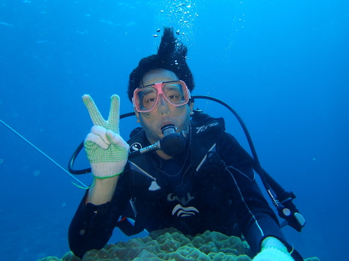 ☆彡沖縄で体験ダイビングなら慶良間諸島☆彡