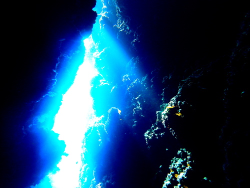 ケラマダイビング