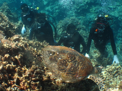☆今日の体験ダイビング☆