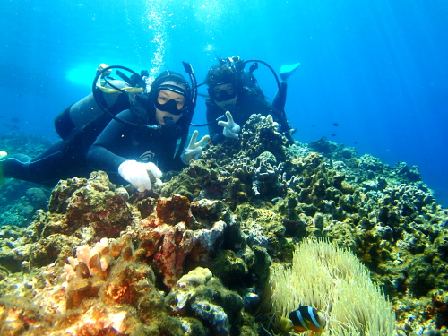 慶良間体験ダイビング