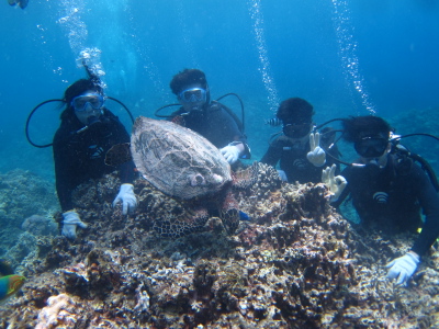 沖縄ダイビング