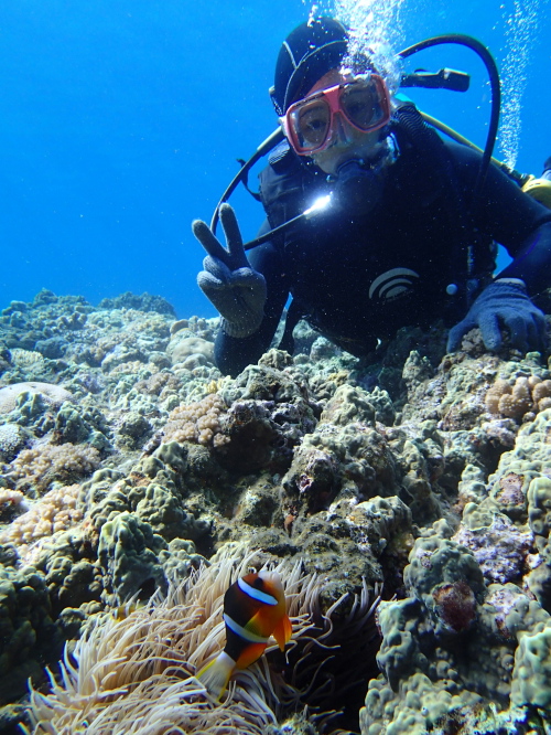 慶良間体験ダイビング