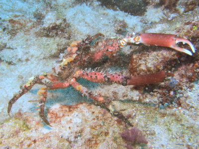 ☆午後からチービシへ～☆