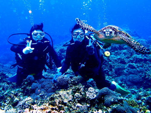 沖縄体験ダイビング