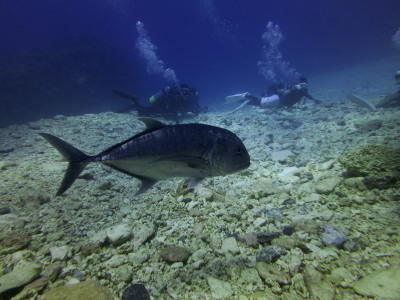 20140930ロウニン