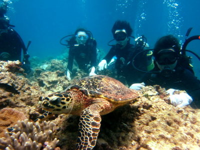 慶良間諸島ダイビング