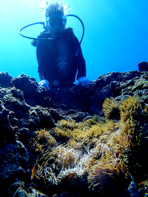 慶良間体験ダイビング