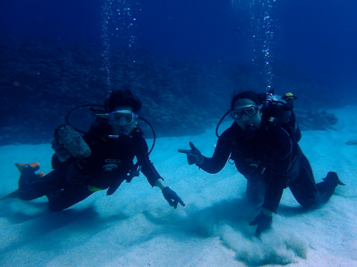 沖縄体験ダイビング
