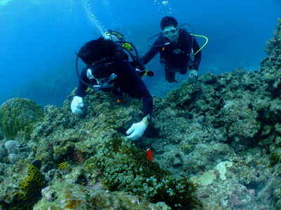 チービシ体験ダイビングツアー