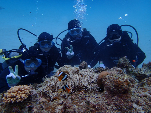 沖縄体験ダイビング