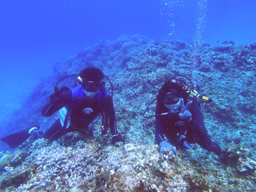 沖縄ダイビングツアー