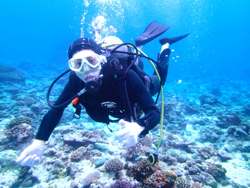 ☆チービシ諸島でカメ保証体験ダイビング☆