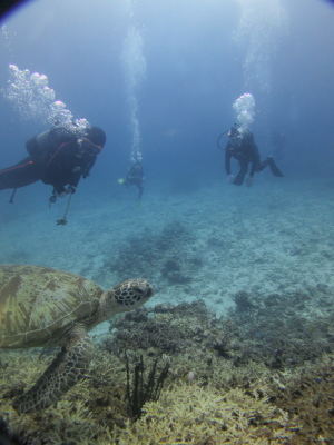 ☆体験ダイバー☆