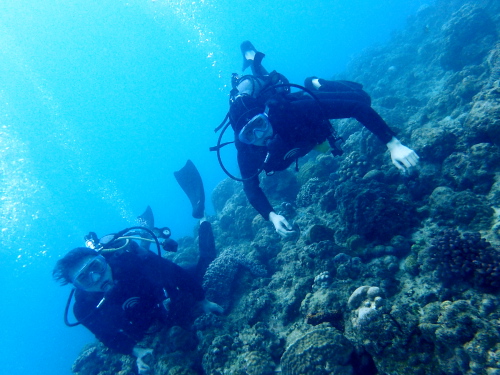 沖縄半日体験ダイビング