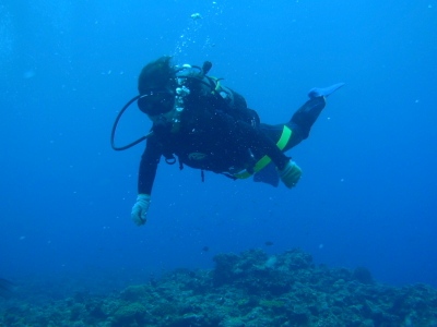 ☆今日の体験ダイビング☆