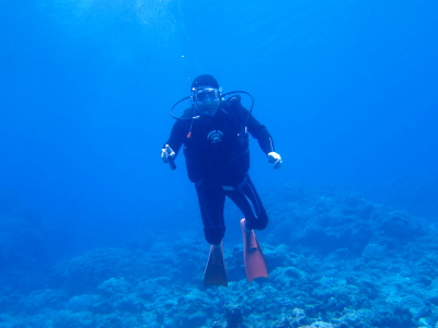 沖縄体験ダイビングの様子