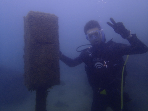 ☆彡PADIオープンウォーターダイバーコース取得！☆彡