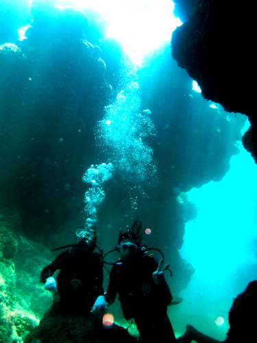 慶良間諸島光の洞窟体験ダイビング
