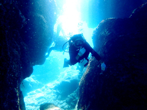 慶良間光の洞窟体験ダイビング