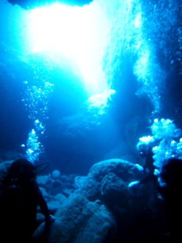 慶良間光の洞窟体験ダイビング