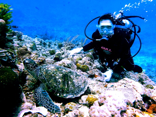 ケラマ諸島カメ保証体験ダイビング