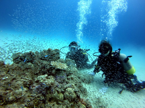 慶良間体験ダイビング