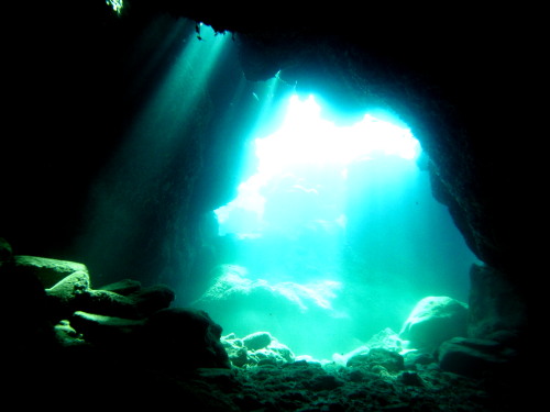 ケラマダイビング