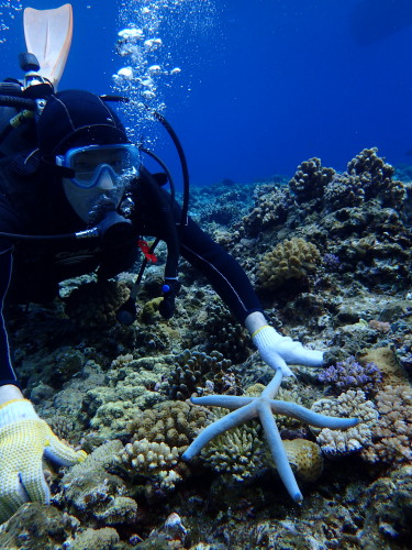 沖縄体験ダイビング