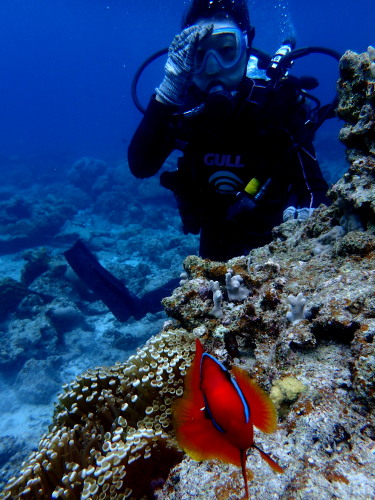 ☆彡慶良間体験ダイビングなら海底砂漠もおすすめ！！☆彡
