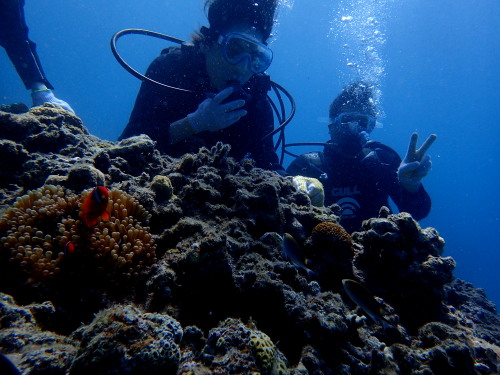 慶良間体験ダイビング