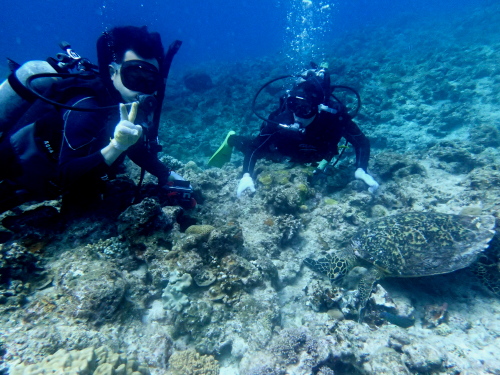 慶良間体験ダイビング